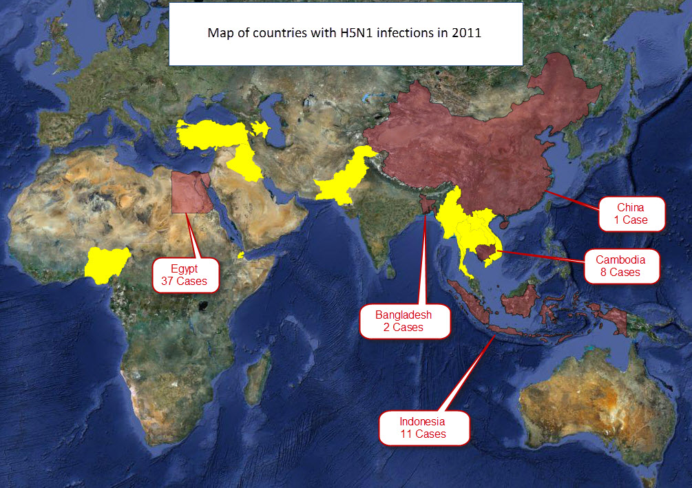 Name:  1. Map of world H5N1 2011.jpg
Views: 1369
Size:  222.1 KB