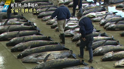 Name:  20120104_11_v_s2.jpg
Views: 219
Size:  44.1 KB