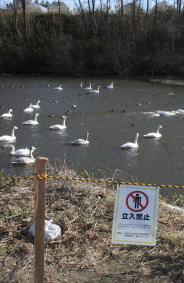 Name: 20120105029jd.jpg
Views: 55
Size: 14.9 KB