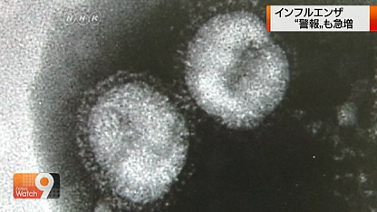 Name:  20120203_35_v_s2.jpg
Views: 324
Size:  31.8 KB