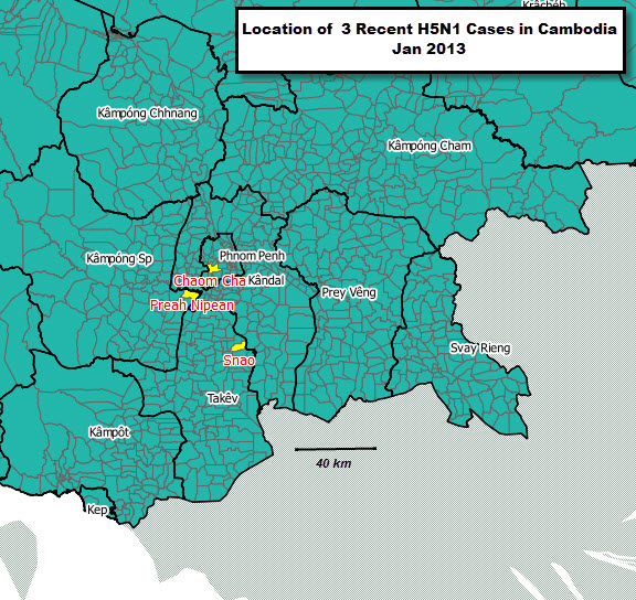 Name:  Cambodia H5N1 20130126.jpg
Views: 572
Size:  202.3 KB