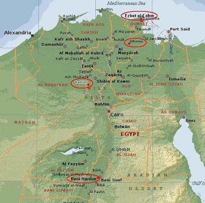Name:  Egypt - confirmed cases - Dec 31 2007 b.jpg
Views: 1113
Size:  40.5 KB