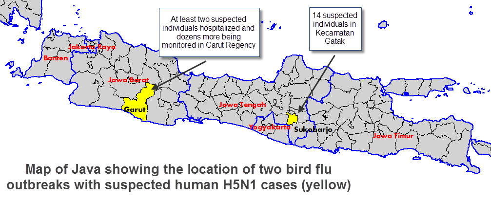 Name:  Java H5N1 20110226.jpg
Views: 260
Size:  159.1 KB