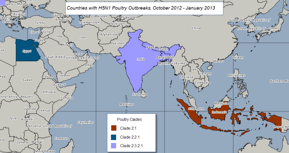 Click image for larger version
Name: H5N1 Poultry Outbreaks to Jan 2013.jpg
Views: 1
Size: 118.9 KB
ID: 668044