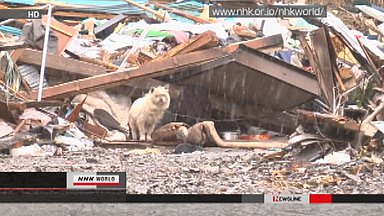 Click image for larger version
Name: 27_05_v_s.jpg
Views: 1
Size: 34.1 KB
ID: 665351