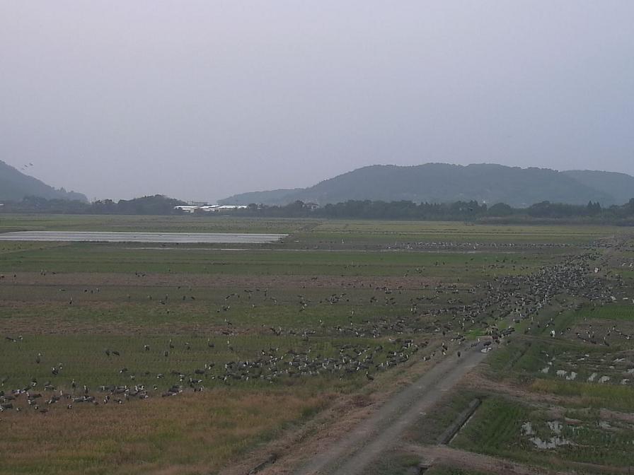 Click image for larger version
Name: NCS2011111317000000.jpg
Views: 1
Size: 57.8 KB
ID: 666290