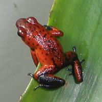 Jim Oliveros's Avatar
