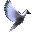 Wild Bird