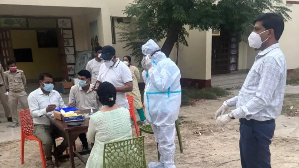 19_05_2025-bird_flu_1_23941576.webp.jpeg.webp