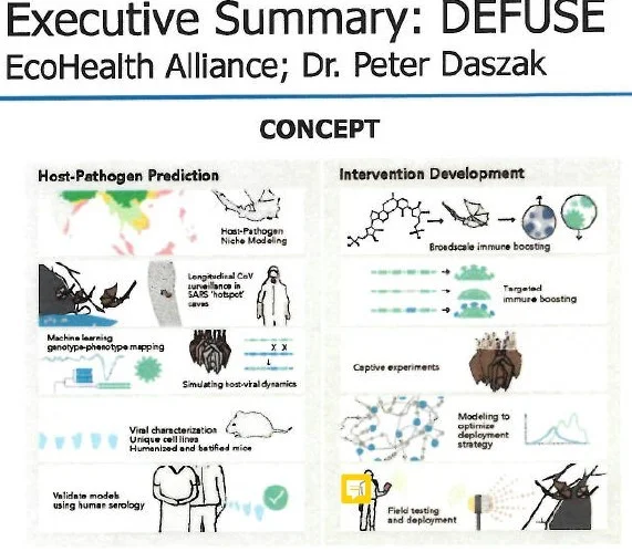 Defuse sketch.jpg - Click image for larger version  Name:	Defuse sketch.jpg Views:	36 Size:	81.4 KB ID:	925723