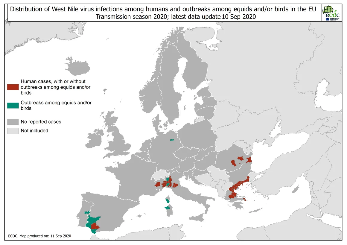 ECDC_WNF_Affected_current_season_HumanAndEquidaeBirds_EUEEA_11-09.png - Click image for larger version  Name:	ECDC_WNF_Affected_current_season_HumanAndEquidaeBirds_EUEEA_11-09.png Views:	10 Size:	330.0 KB ID:	892535