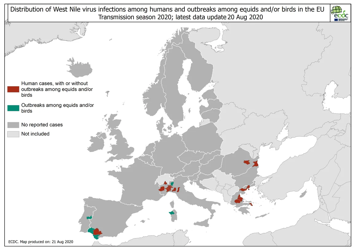 ECDC_WNF_Affected_current_season_HumanAndEquidaeBirds_EUEEA_3 20 08 2020.png