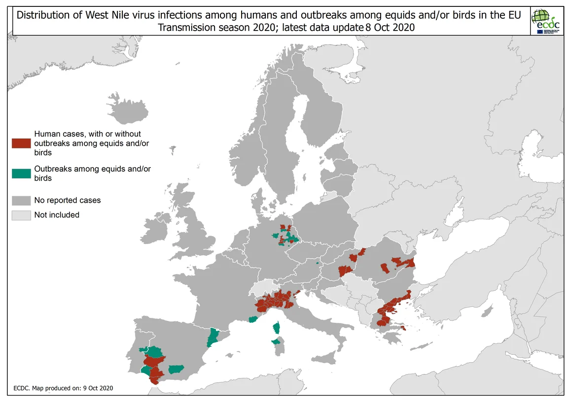 ECDC_WNF_Affected_current_season_HumanAndEquidaeBirds_EUEEA_5 009 10 2020.png