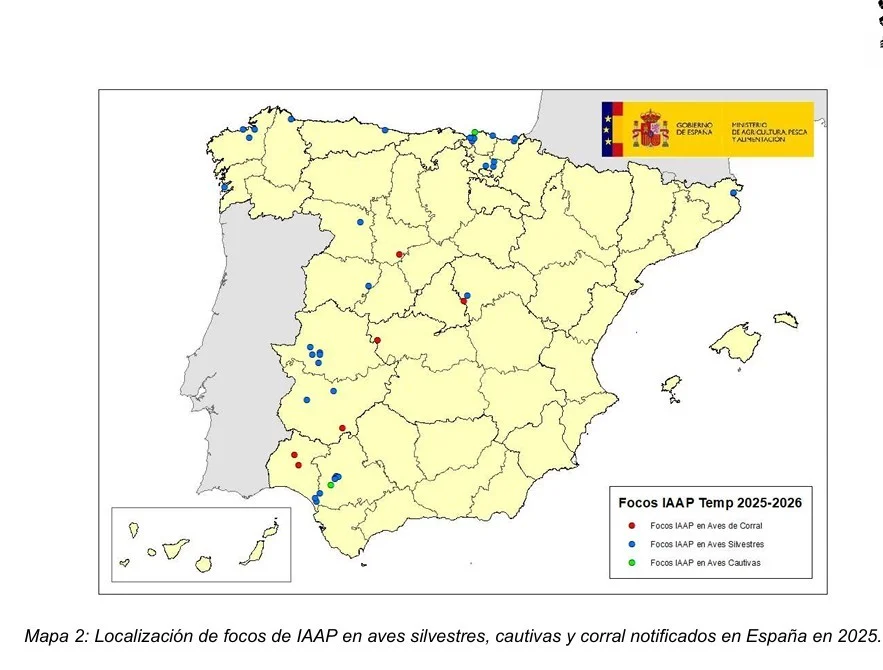 imagen.asp.webp