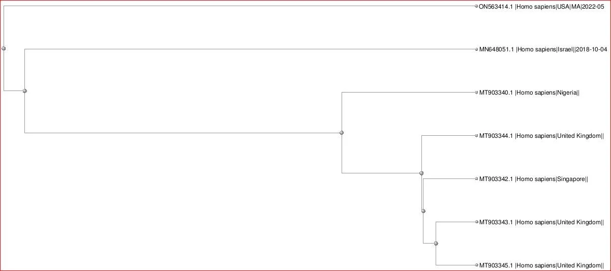 Click image for larger version  Name:	Monkeypox3.JPG Views:	2 Size:	48.6 KB ID:	949438