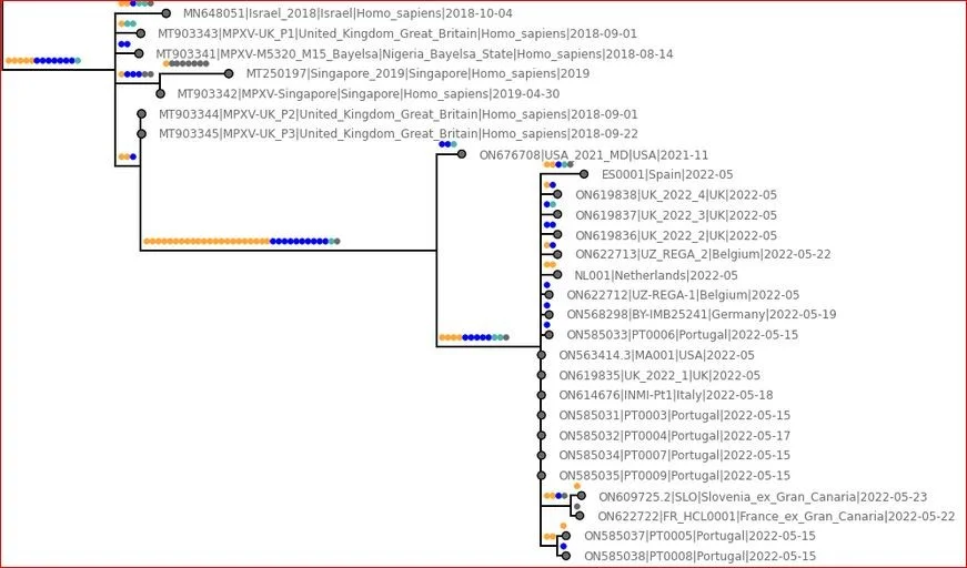 Monkeypox4.webp