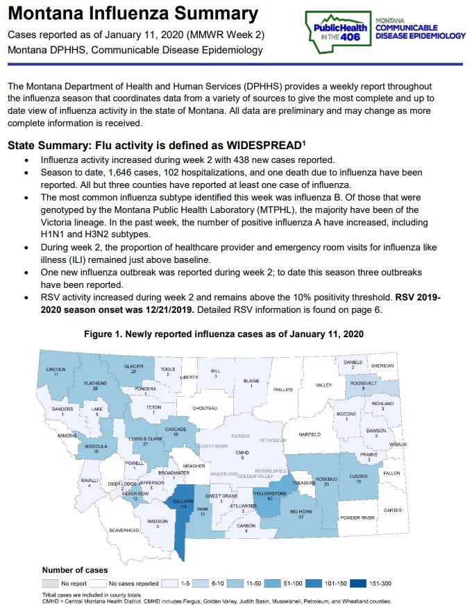 Montana.webp