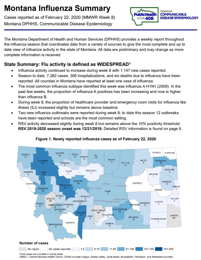 Montana.webp