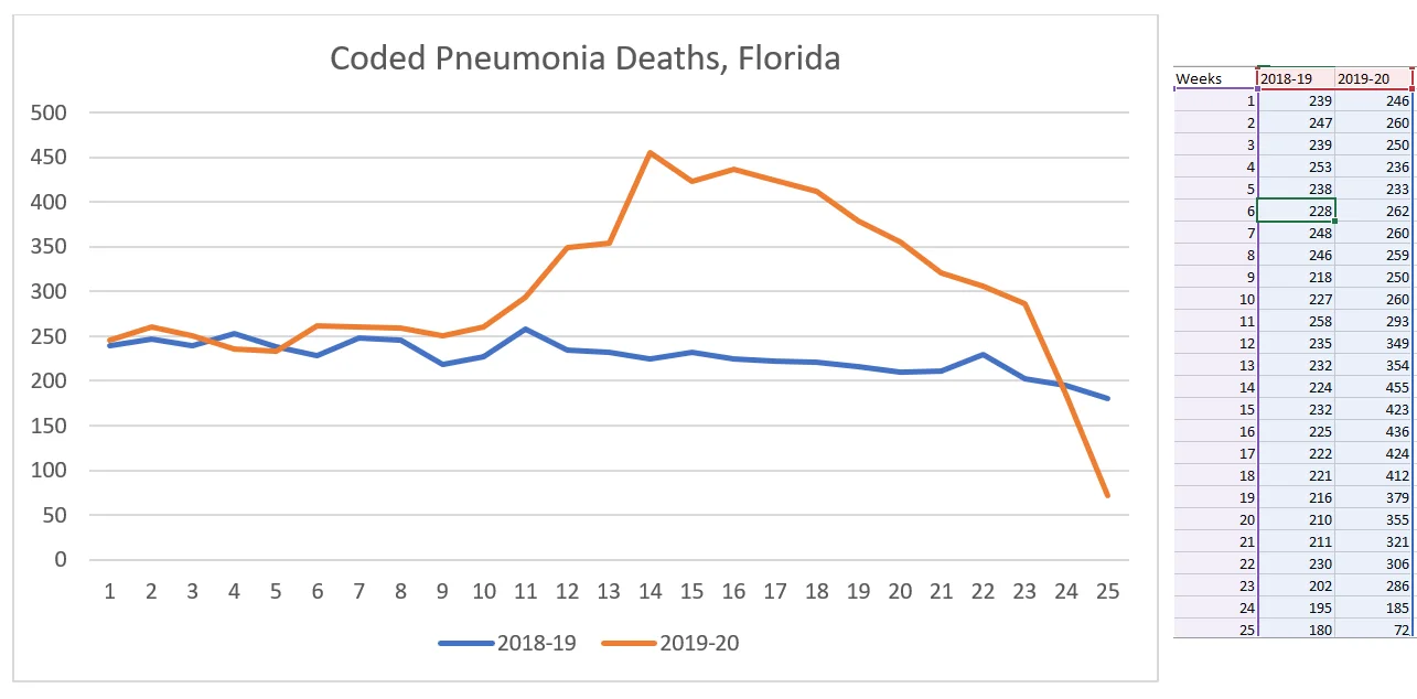 Pneumonia Florida.webp