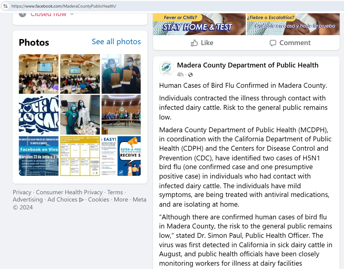 Screenshot 2024-11-14 222049.webp