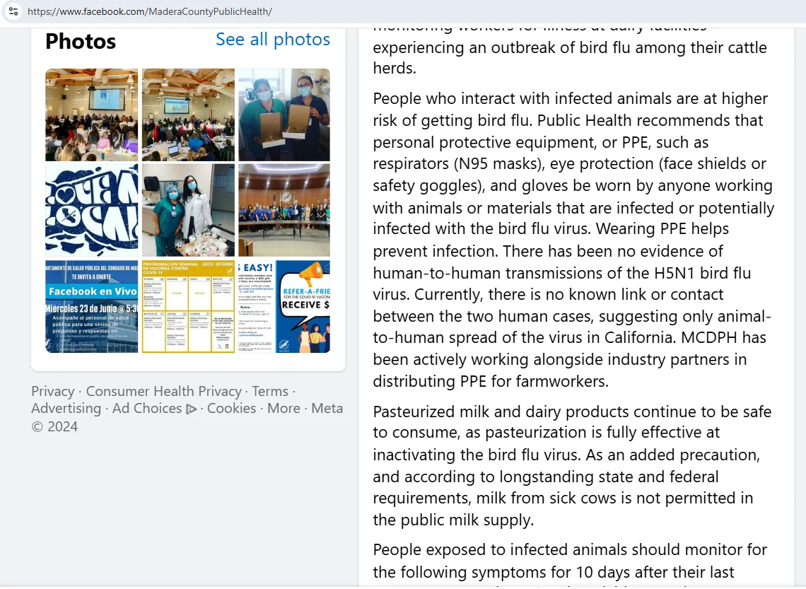 Screenshot 2024-11-14 222345.webp