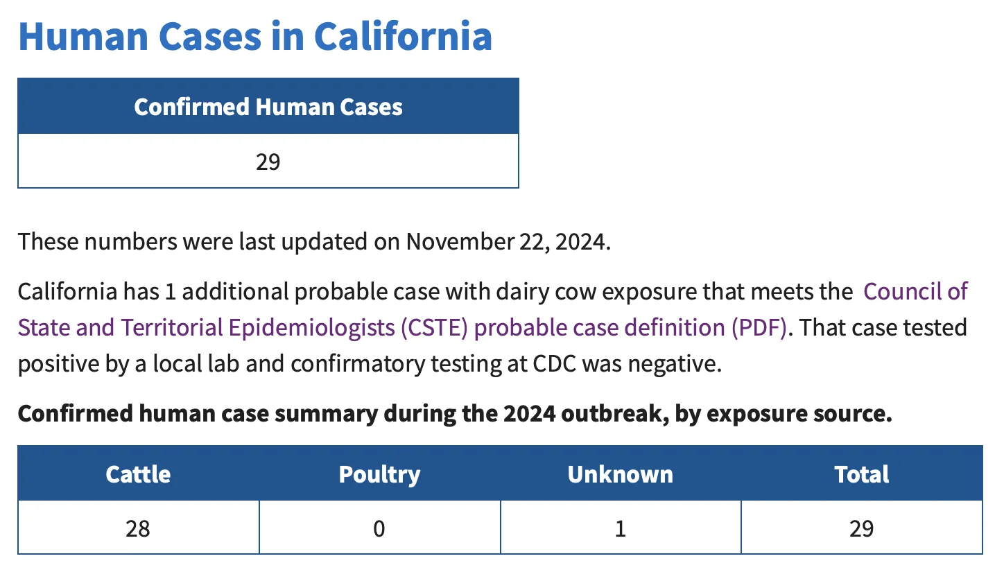 Screenshot 2024-11-22 at 1.28.47 PM.webp