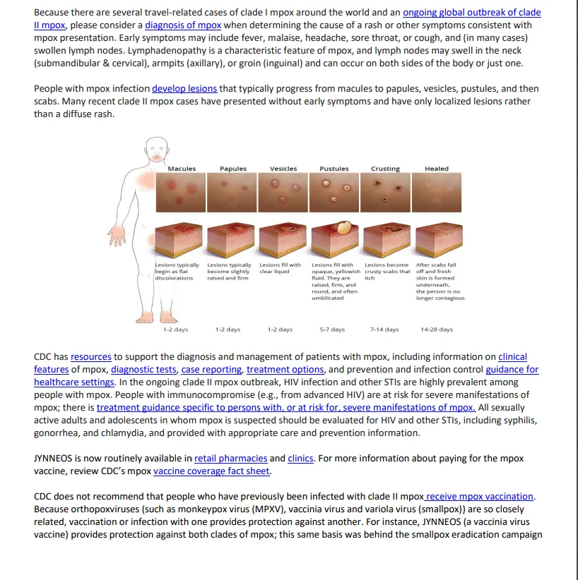 Screenshot 2024-12-09 153737.webp
