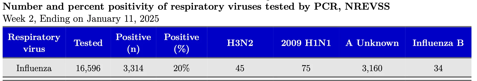 Screenshot 2025-01-19 at 6.14.40 AM.webp