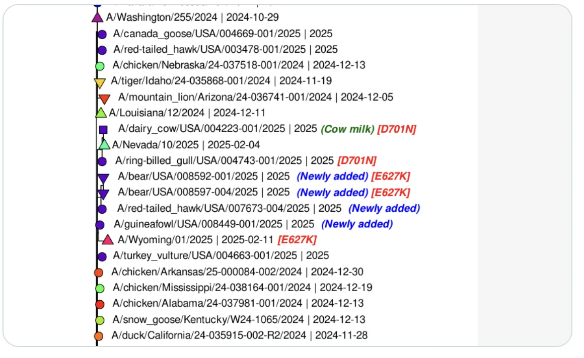 Screenshot 2025-04-01 at 6.53.12 AM.webp