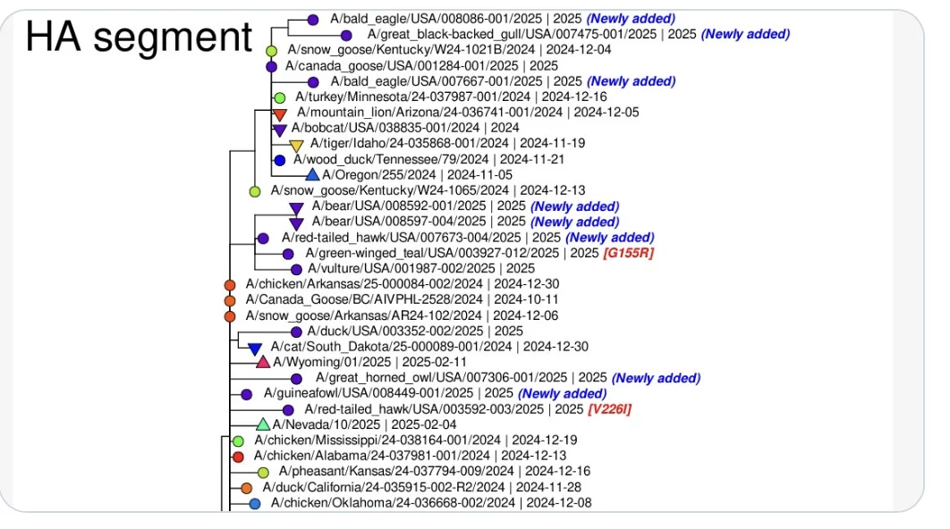 Screenshot 2025-04-01 at 6.56.36 AM.webp