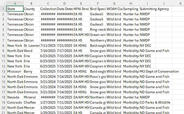 Screenshot 2025-07-25 090516.webp