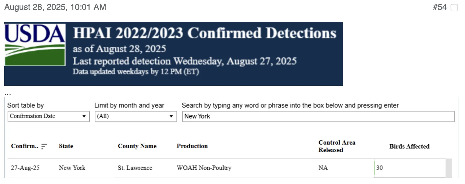 Screenshot 2025-09-05 at 3.34.21 PM.webp