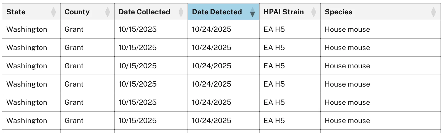 Screenshot 2025-10-29 at 6.29.31 AM.webp