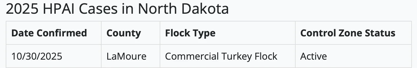 Screenshot 2025-10-31 at 11.32.00 AM.webp