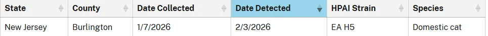 Screenshot 2026-02-12 090539.webp