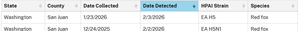 Screenshot 2026-02-12 091625.webp