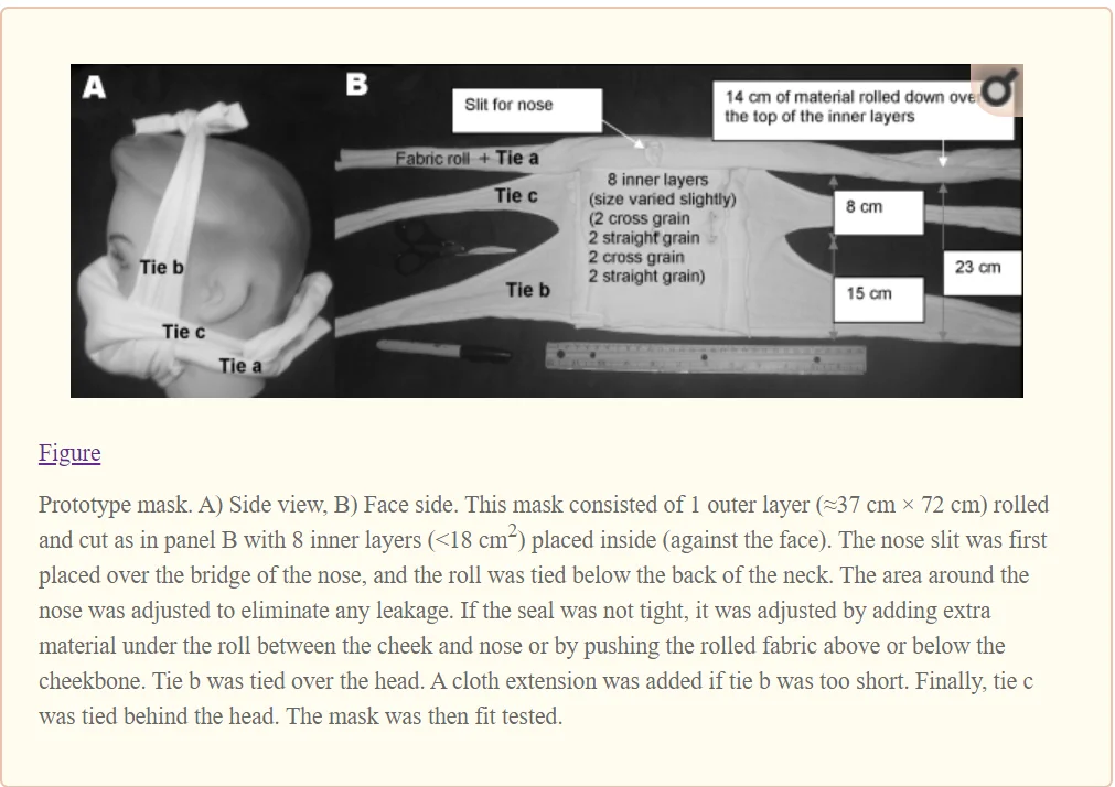 simplemask.webp