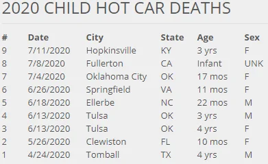 vehicular heatstroke.webp