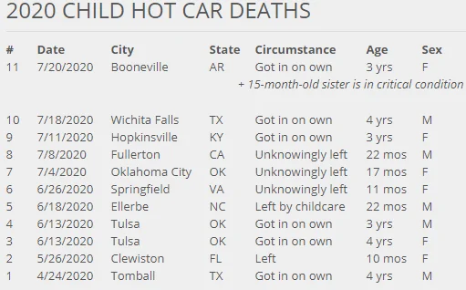 vehicular heatstroke.webp