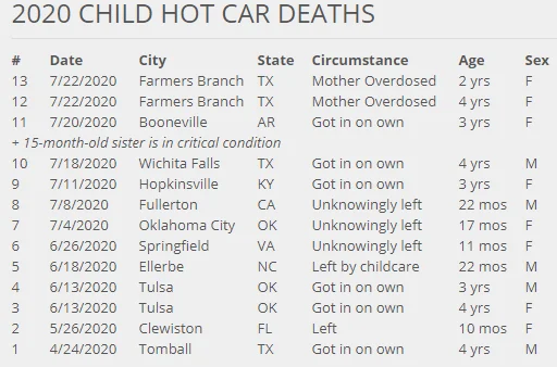 vehicular heatstroke.webp