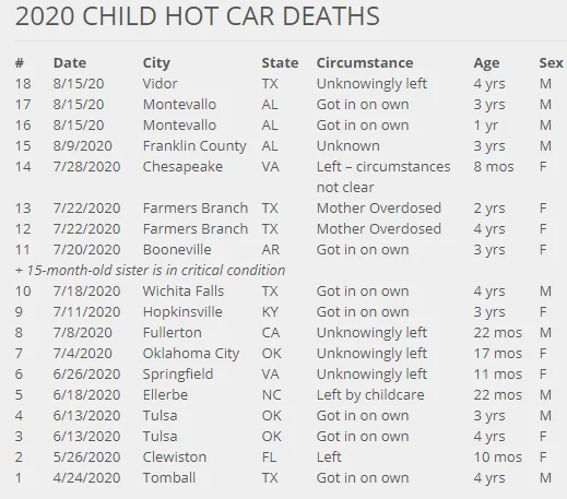 vehicular heatstroke.webp