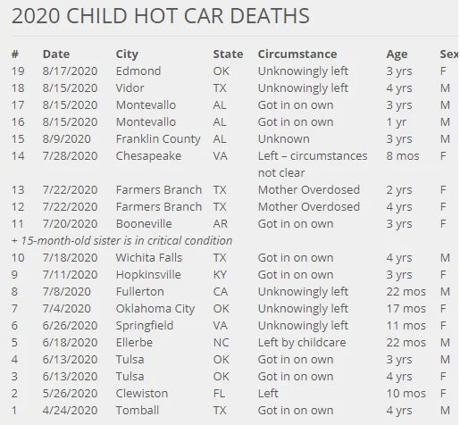 vehicular heatstroke.webp