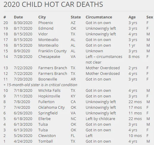 vehicular heatstroke.webp