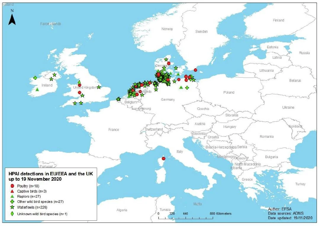 Vogelgriep kaart europa 19 11 2020.jpg